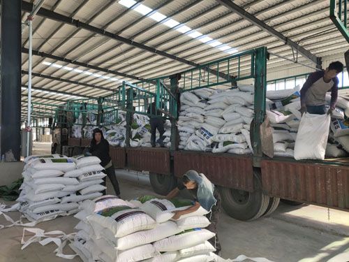 2020.09.10ԭ�ώ�(k��)��жԭ��