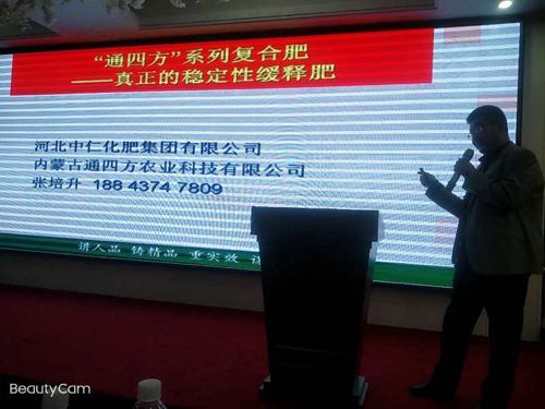 ������ӆ؛����Ƭ