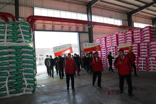 筑夢(mèng)峰會(huì)核心客戶(hù)參觀通四方農(nóng)科成品庫(kù) 筑夢(mèng)峰會(huì)核心客戶(hù)參觀通四方農(nóng)科成品庫(kù)